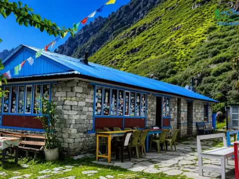 Ghoda Tabela (3,030m) Guide: Best Stop on Langtang Valley Trek for Views, Acclimatization & Permits