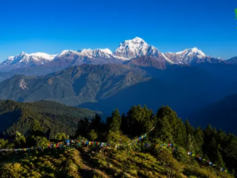Top 10 Family Treks in Nepal: Safe, Easy & Kid-Friendly Himalayan Adventures