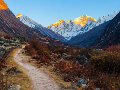 Langtang Valley Trek Guided vs Independent: Which Trekking Style Is Best for You?