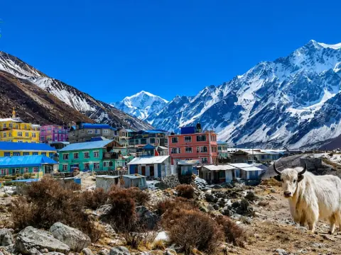 Is Langtang Valley Trek Safe After Monsoon? Trail Conditions, Weather & Best Time to Trek