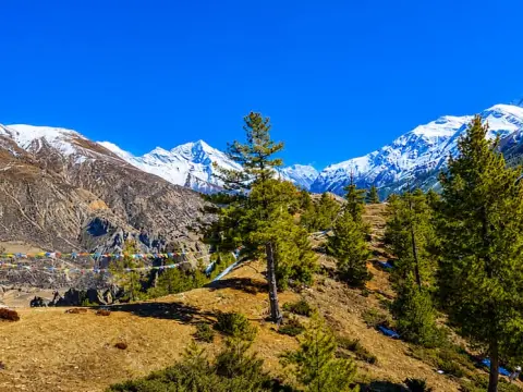 Manang to Thorong La Pass: Complete Annapurna Circuit Trekking Guide, Acclimatization Tips & Altitude Safety