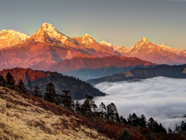 Mohare Danda Trek: A Short 5-Day Journey to Craft Lifelong Memories