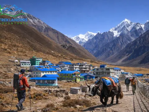 Hidden Facts About Langtang Valley Trek That Most Trekkers Don’t Know