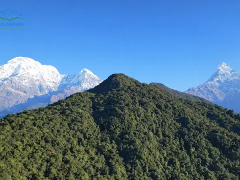 Langtang Valley vs Mardi Himal Trek – Which One Should You Choose? Full Comparison Guide