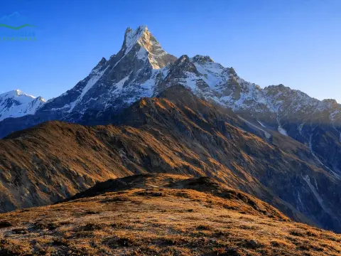 Hidden Facts About Mardi Himal Trek: Unknown Things Every Trekker Should Know