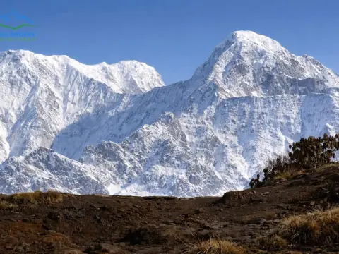 Mardi Himal Trek in Nepal: A Complete Guide to the Best Short, Scenic & Less-Crowded Annapurna Trail