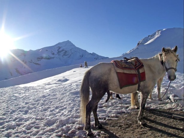 Annapurna Circuit short trek in 6 days – A Trekking Adventure with Treklanders Adventures