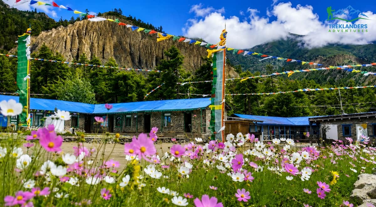 Nar Phu Valley Trek in Monsoon