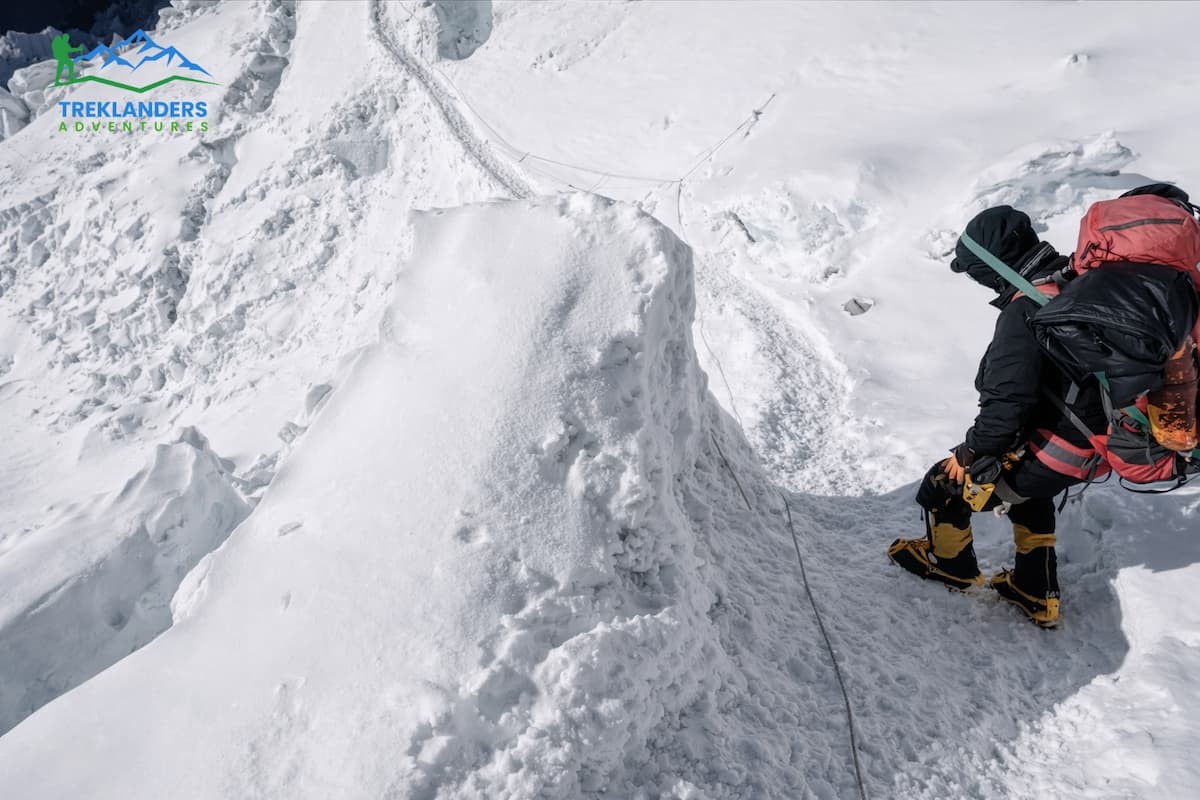 Sherpas in Everest mountaineering.