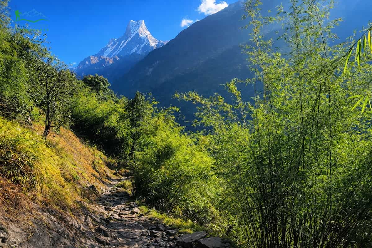 Annapurna Base Camp Trek
