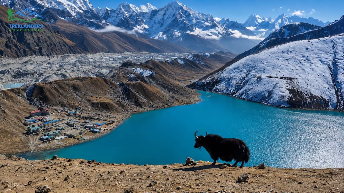Goky Ri View Point- Gokyo Lakes Trek