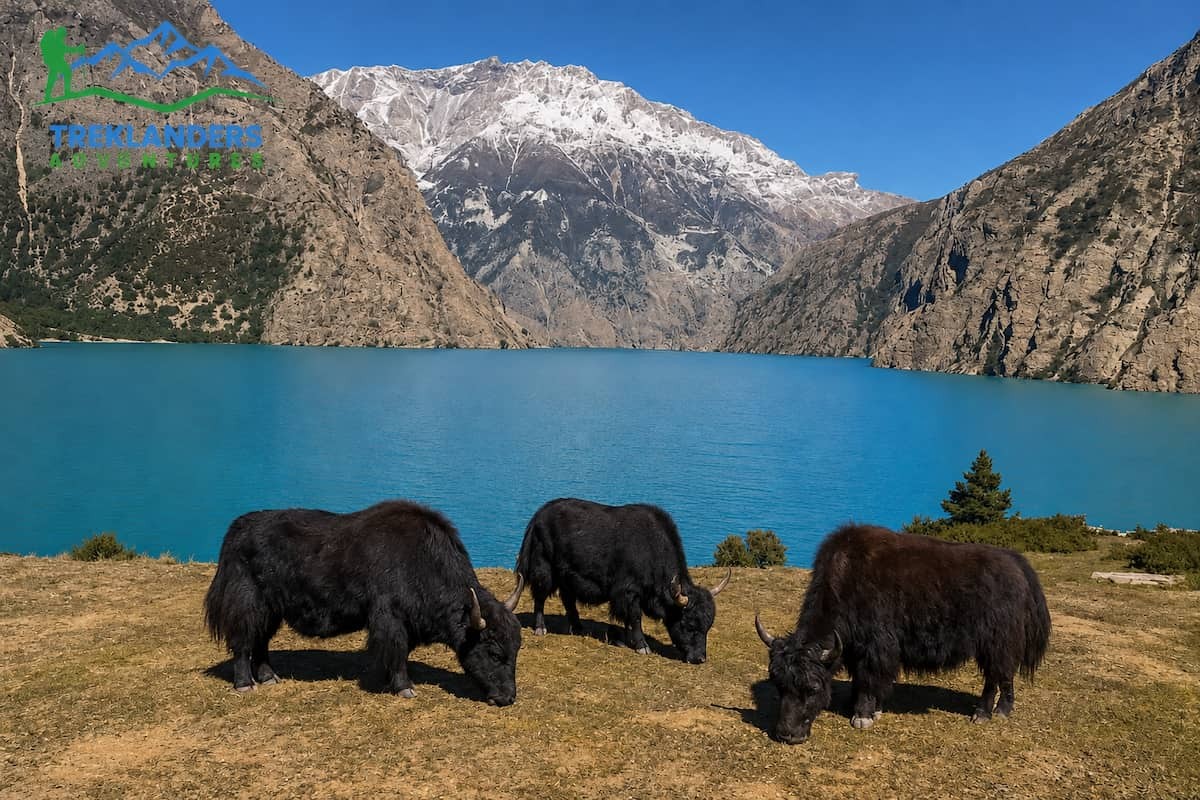 Dolpo