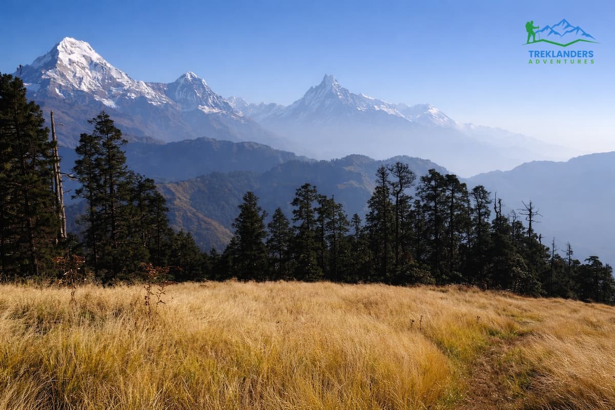Mohare Danda Trail