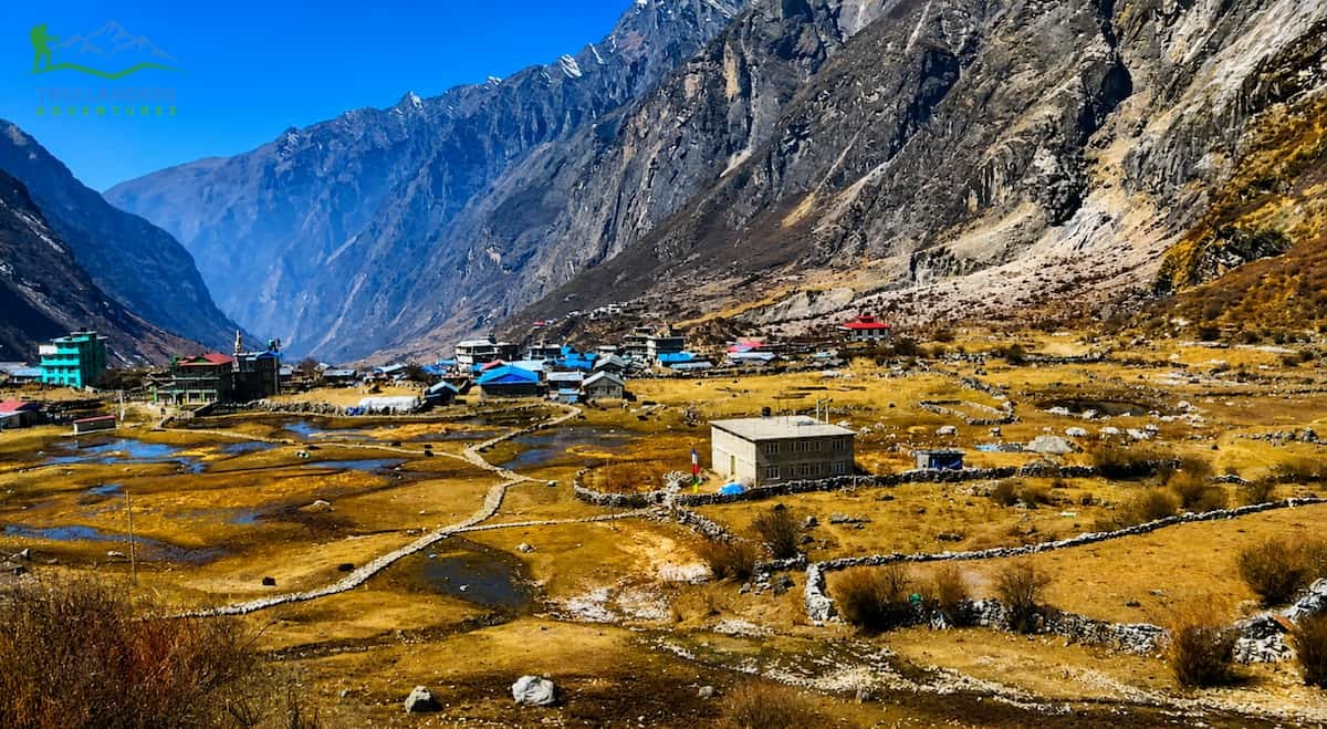 Langtang Village