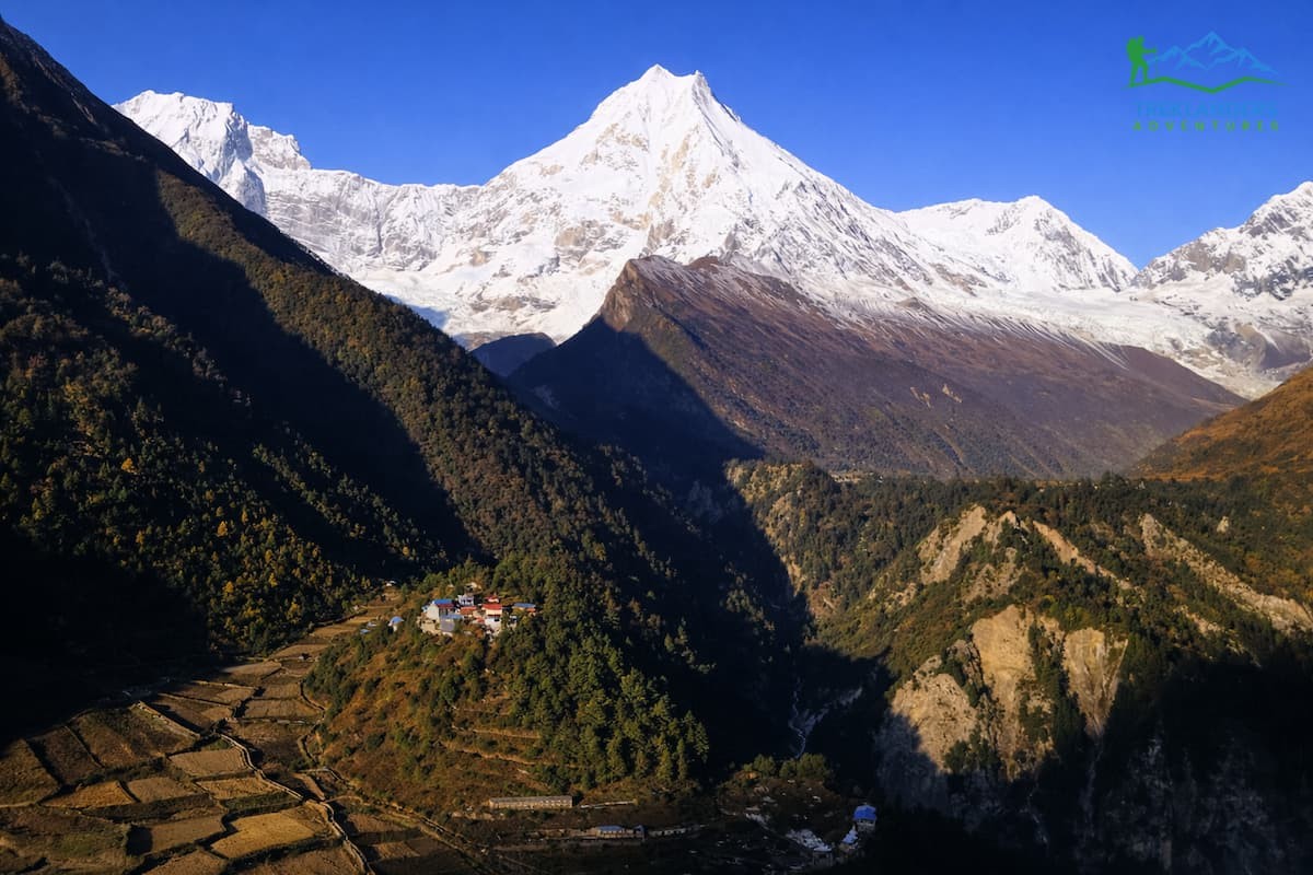 Manaslu Conservation Area Flora and Fauna