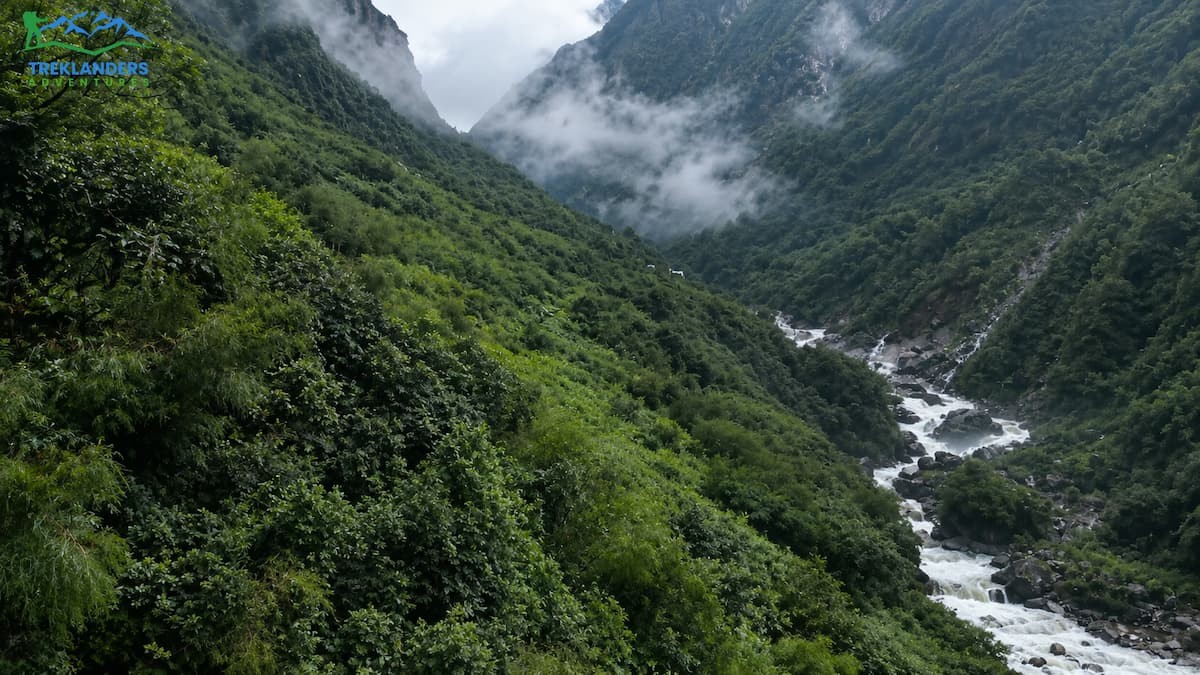 The Trail Itself