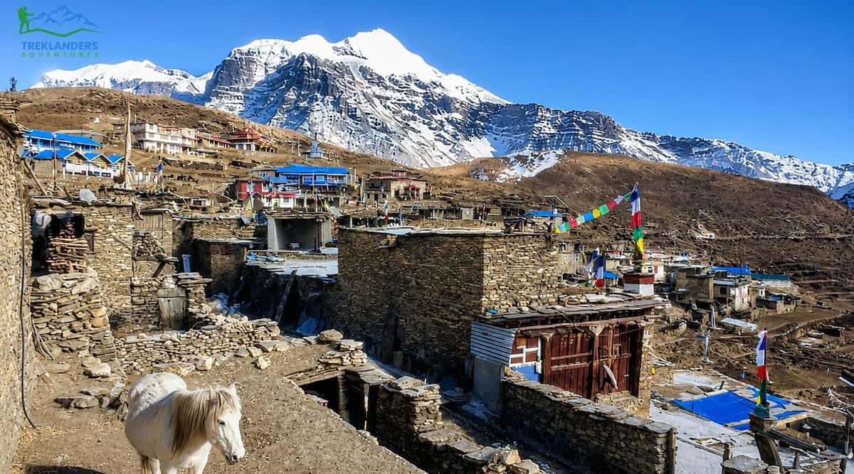 Nar Phu Valley Trek- Nar Village