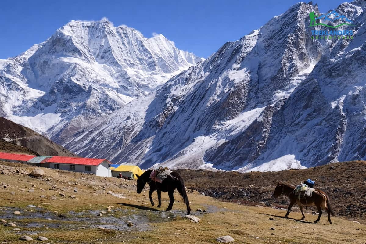 Dharmasala- Manaslu Circuit Trek