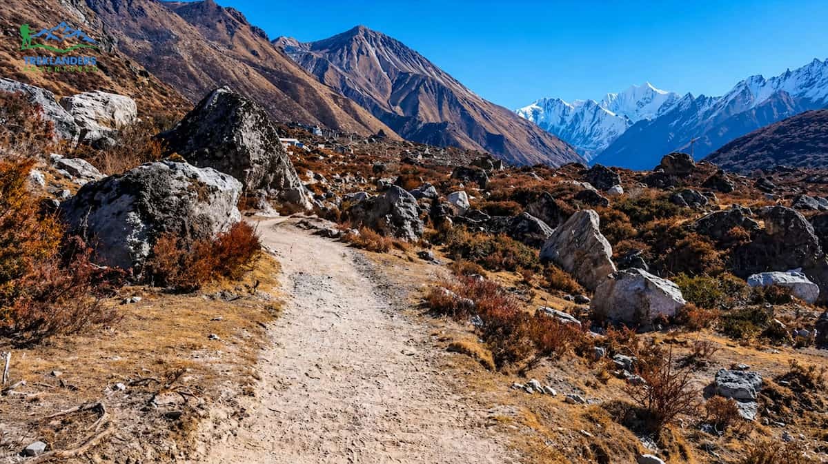 Trail Along the Langtang Valley Trek