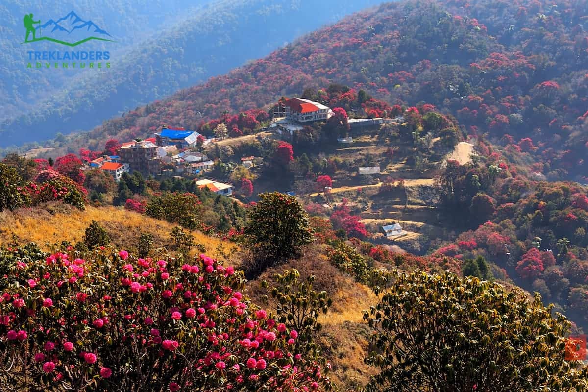 Ghorepani Village- Ghorepani Poonhill Trek