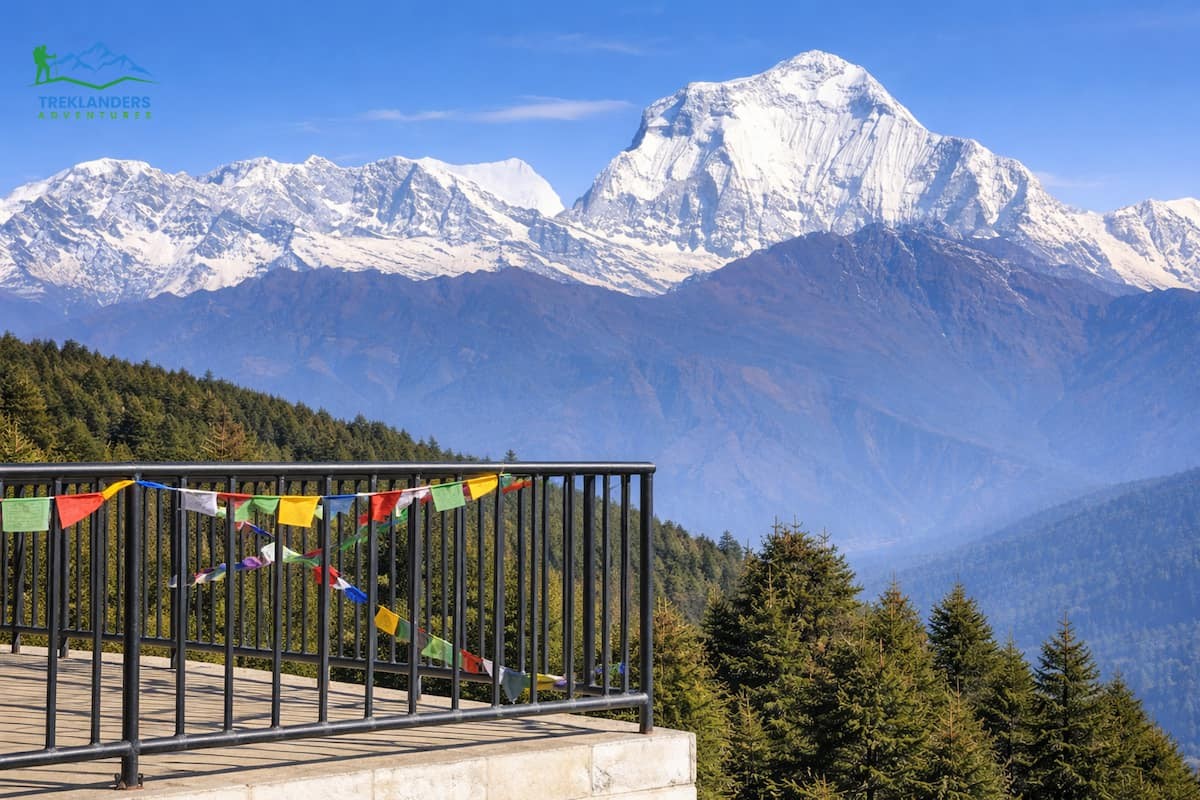 Ghorepani Poon Hill Trek
