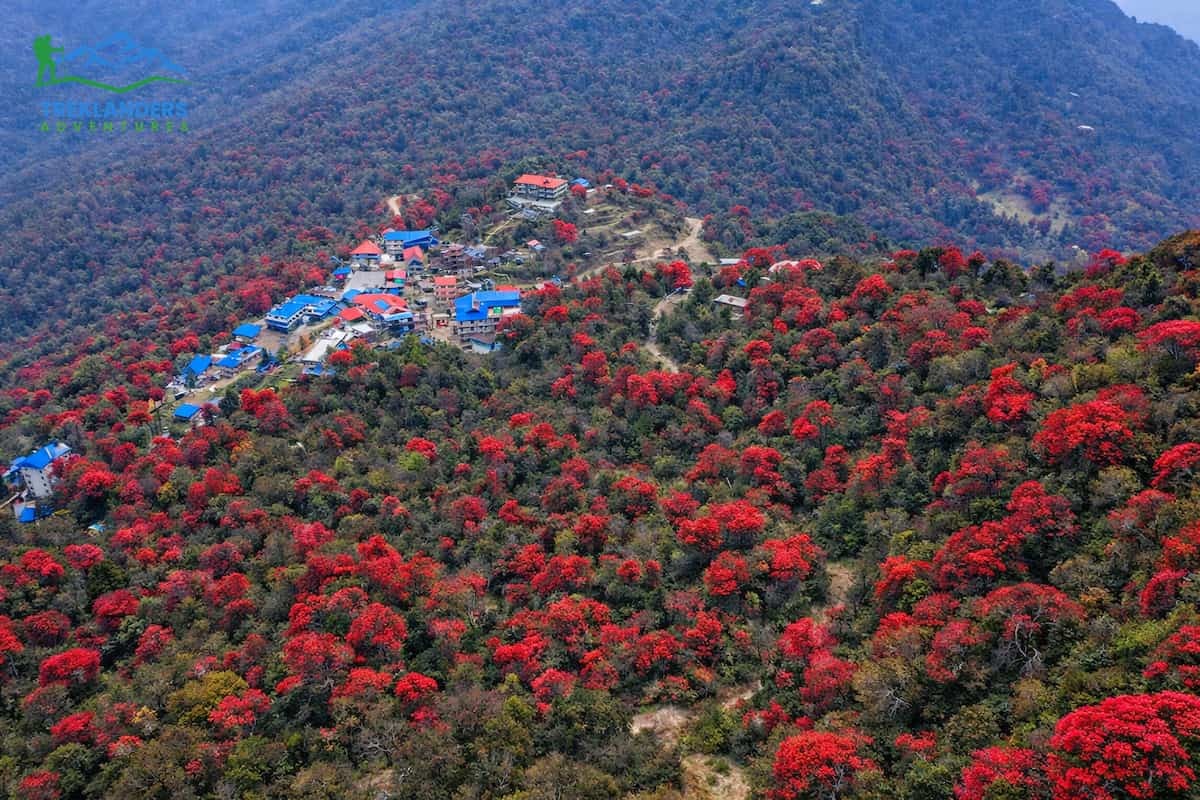 Ghorepani Poon Hill Trek