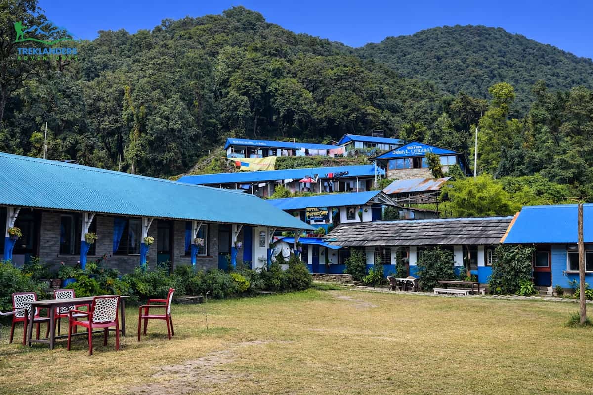 Forest Camp- Mardi Himal Trek