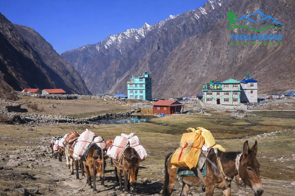 Langtang Village