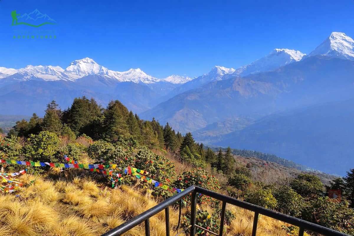 Ghorepani Poon Hill Trek