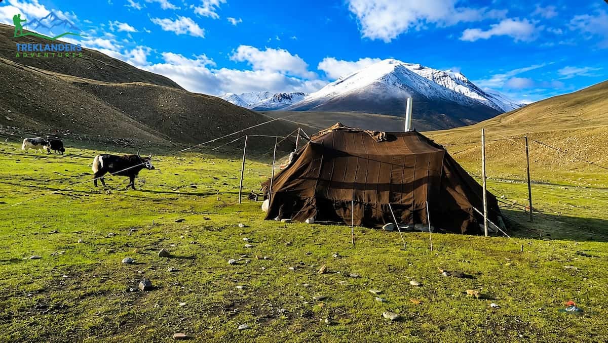 Tented Camp Accommodation in the Remote Upper Dolpo Region