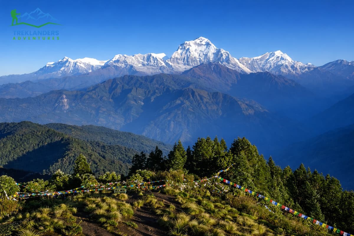 Ghorepani Poonhill Trek