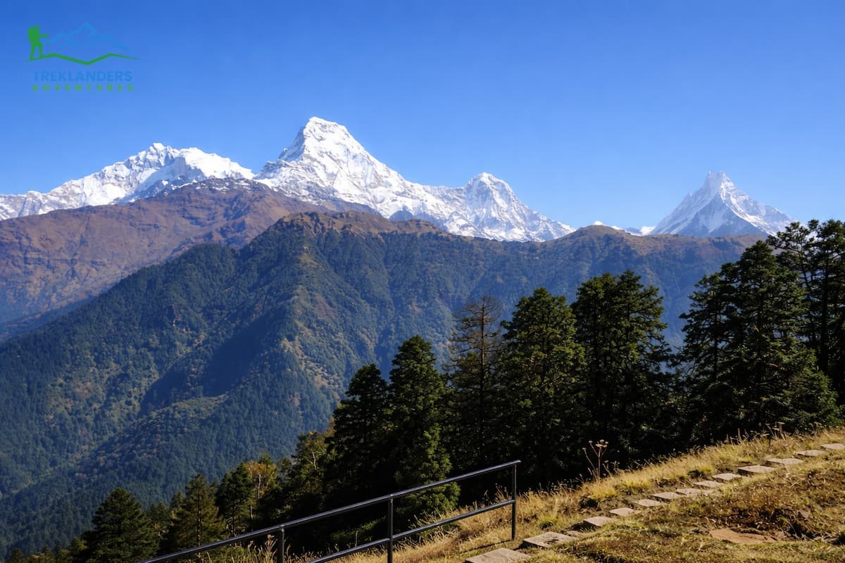 Ghorepani Poonhill Trek