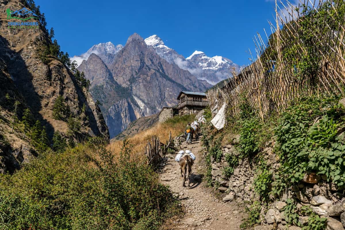 Walking the Budhi Gandaki Valley