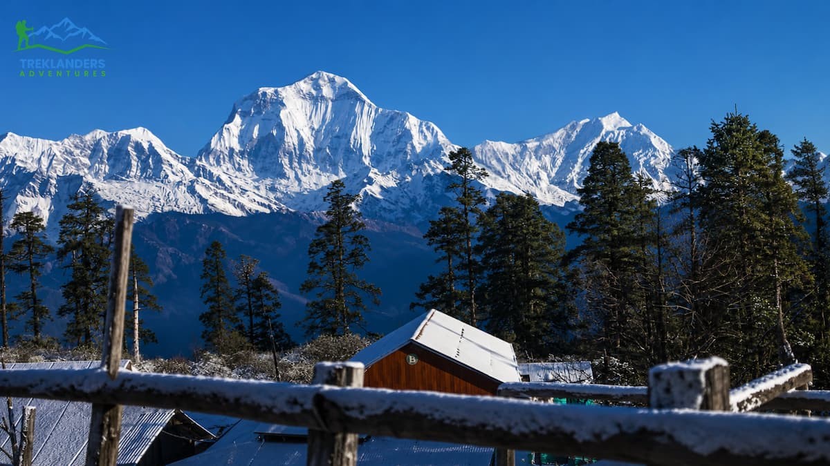 Mohare Danda Trek