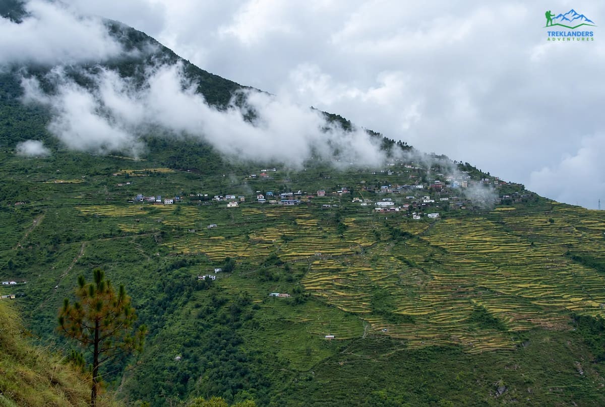 Dhunche