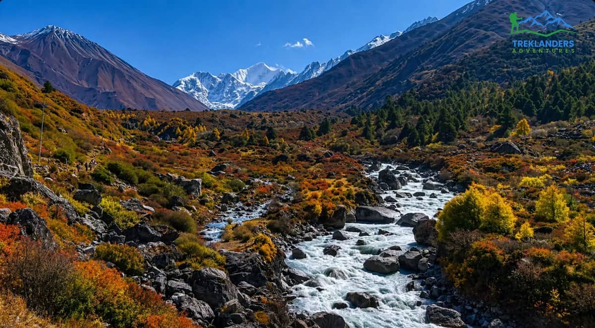 Langtang Valley Trek