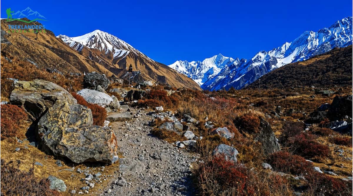 Trail along the Langtang Valley Trek