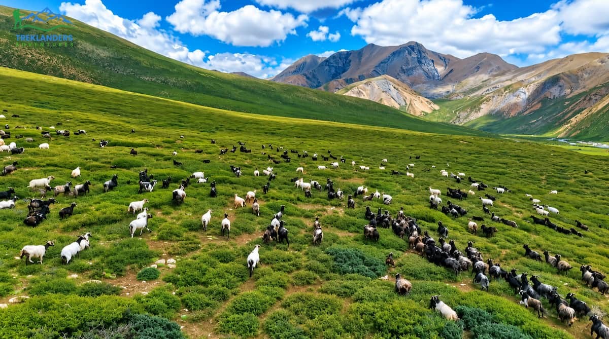 Upper Dolpa Trek
