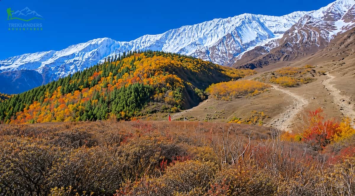 Upper Dolpo Region Trek