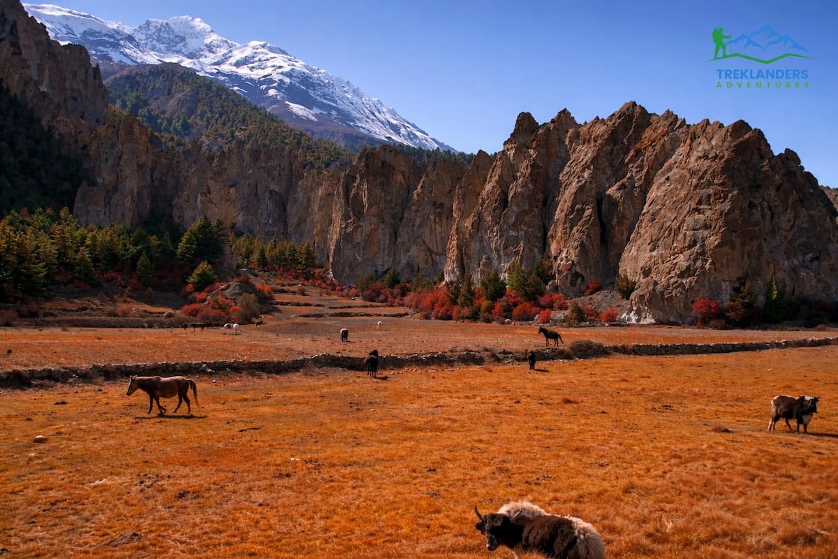 Annapurna Circuit Trek