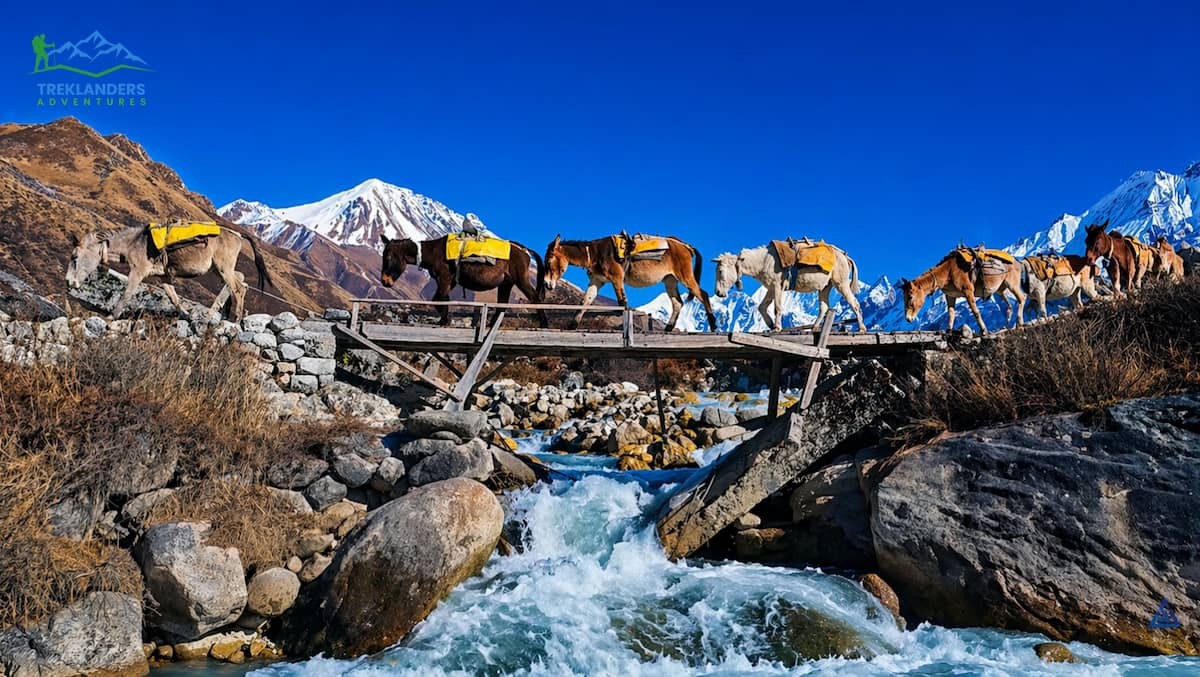 Langtang Valley Trek
