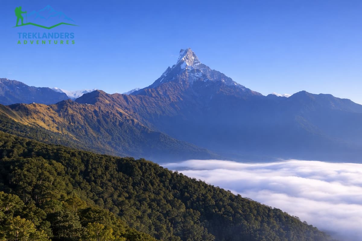 Rest Camp - Mardi Himal Trek