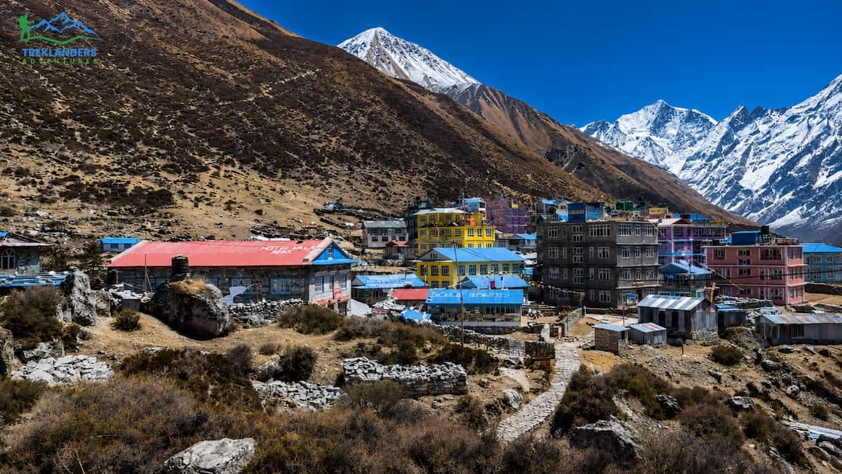 Kyanjin Gompa- Tamang Heritage Trail with Langtang Valley Trek
