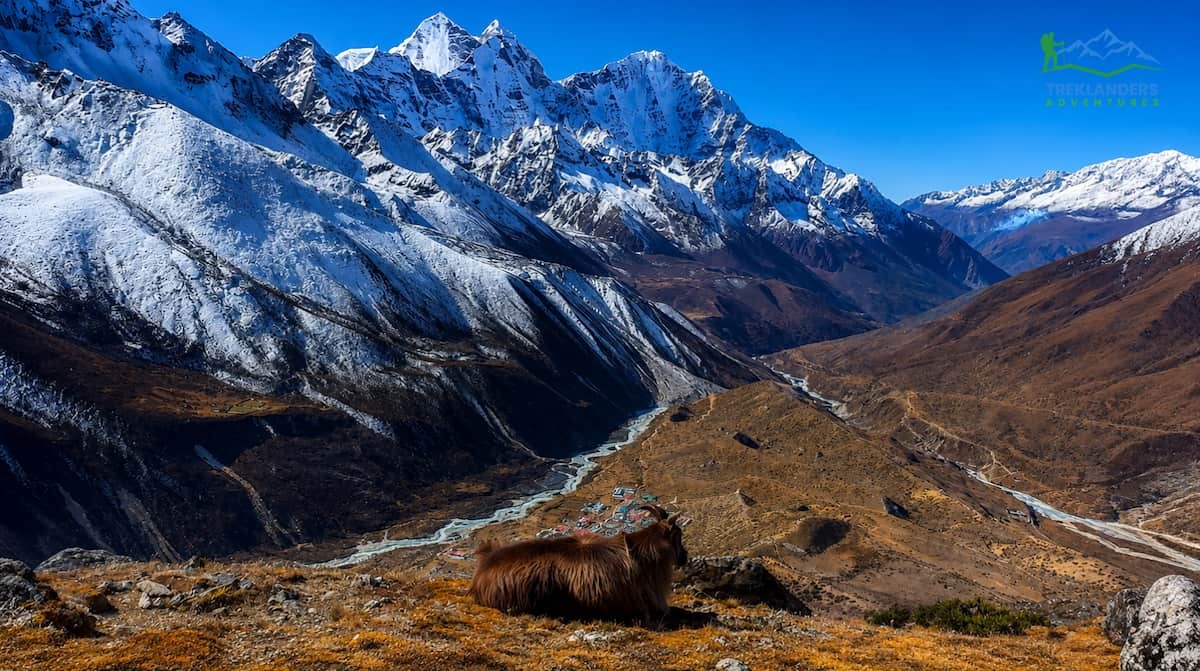 Dingboche Valley 