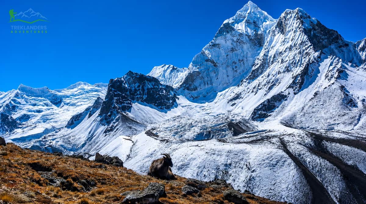 Stunning view of Mt. Ama Dablam during the acclimatization day in Dingboche.