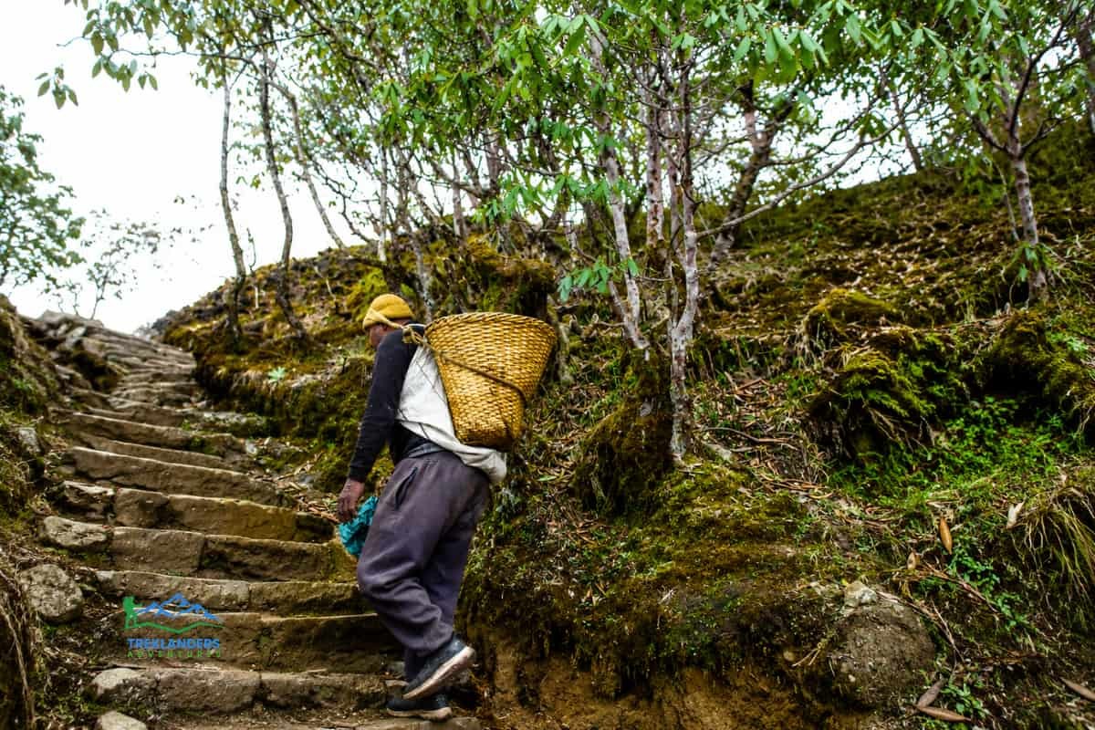 Local Porter on a Himalayan Trail
