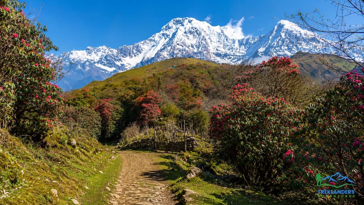 Badal Danda - Mardi Himal Trek