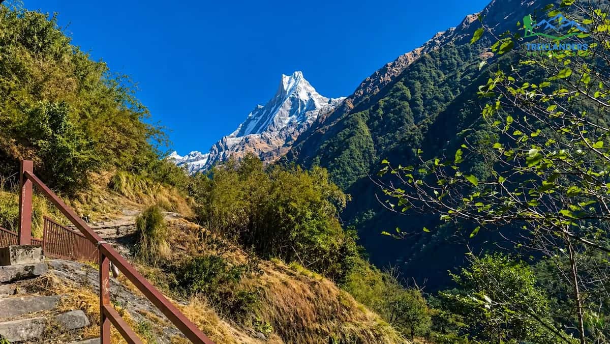Annapurna Base Camp Trek trail