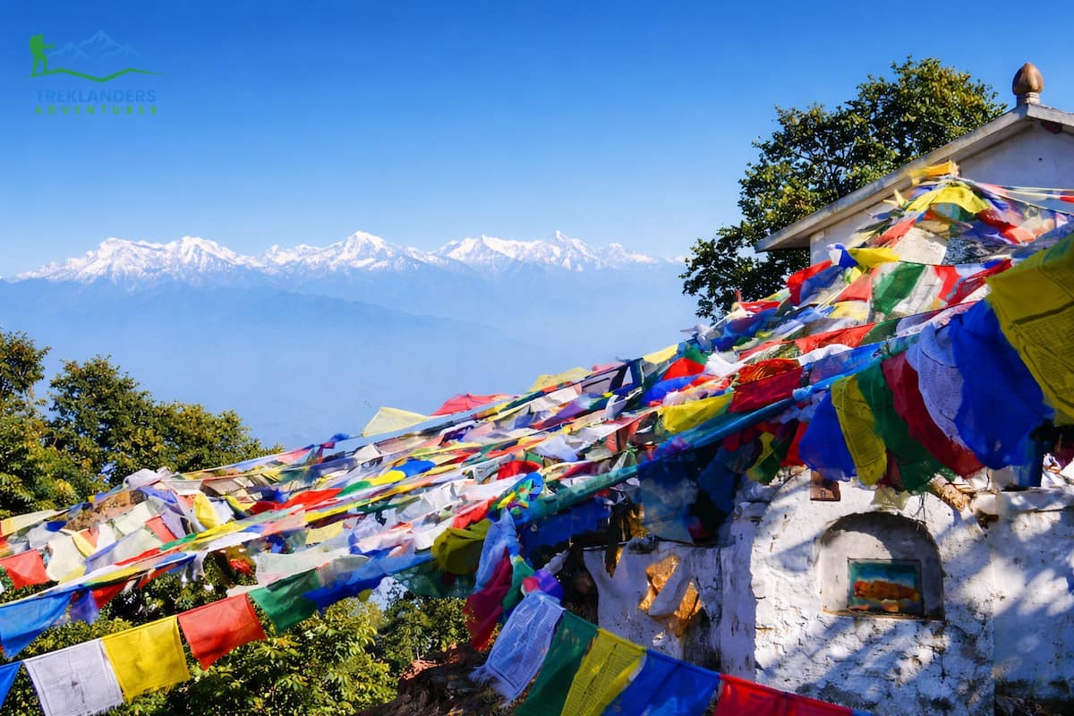 Phulchowki Forest Trail Hike