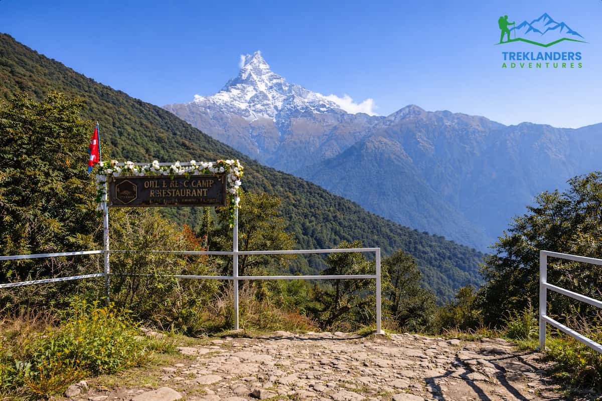 Rest Camp- Mardi Himal Trek